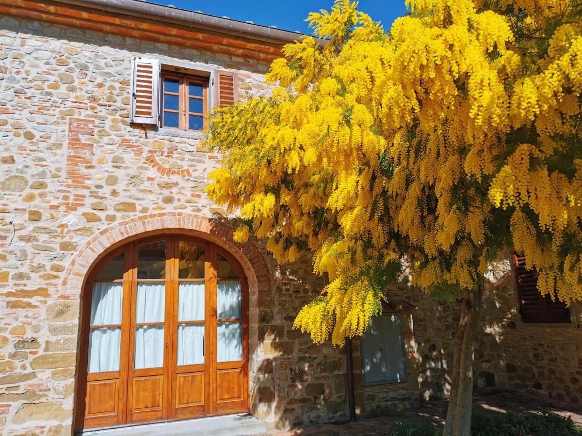 Antico Borgo Frosini Villa Arezzo Eksteriør billede